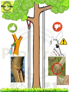 Cambium Saver - RTC