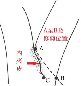 P6_Co_Stem1