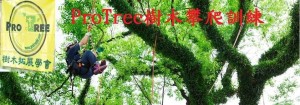 treeclimbbanner