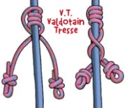 Common_Knot_VT