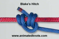 Common_Knot_blake