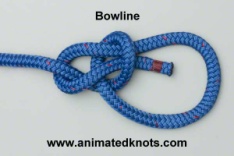 Common_Knot_boweline