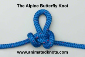 Common_Knot_butterfly