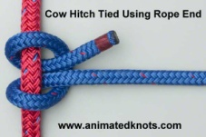 Common_Knot_cowhitch