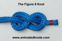 Common_Knot_figure8