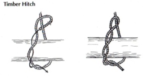 Common_Knot_timber