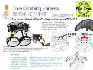 TreeClimbHardness01