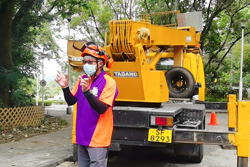 Chainsaw Practice&Safety Pruning Course