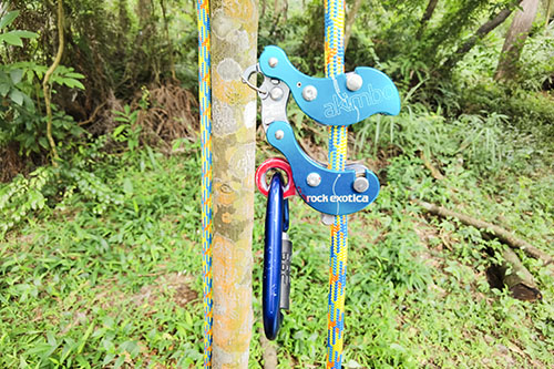 Chainsaw Practice&Safety Pruning Course