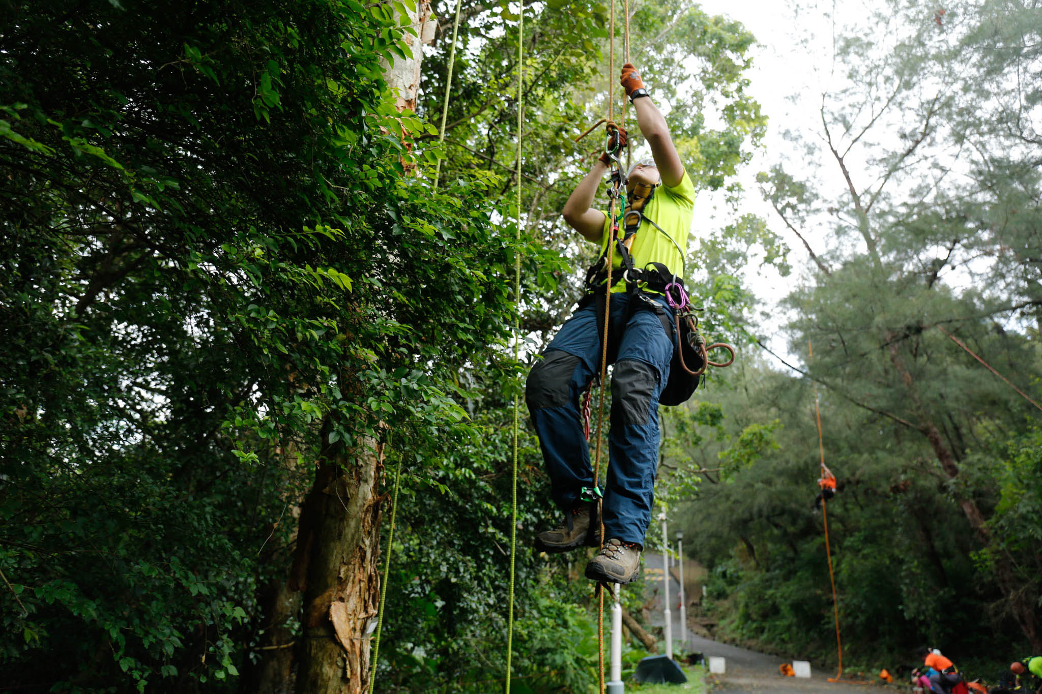 Chainsaw Practice&Safety Pruning Course