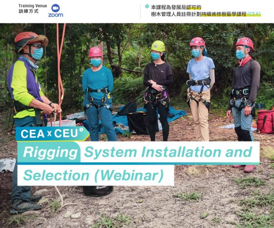 CEA_Rigging_web_banner CEA_Rigging_web_banner